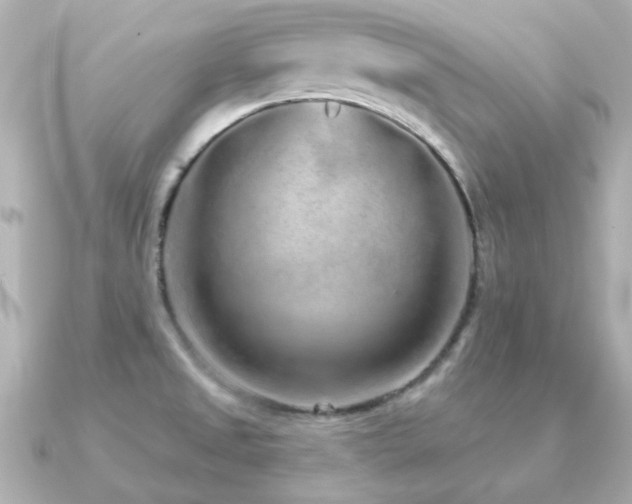 X0000091191525200708091240