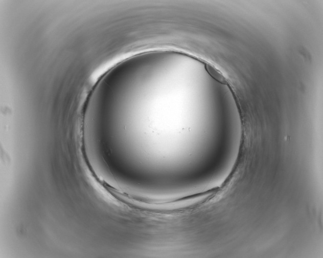 X0000091191526200708091240