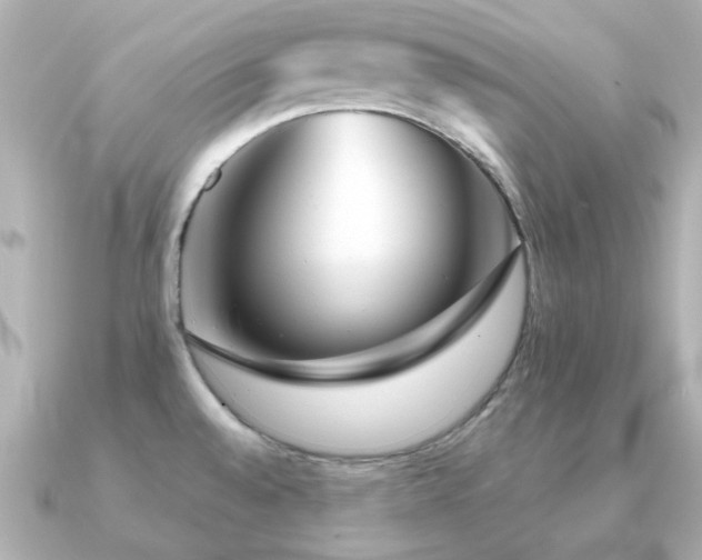 X0000091191528200708091240