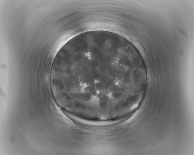 X0000091191529200708091240