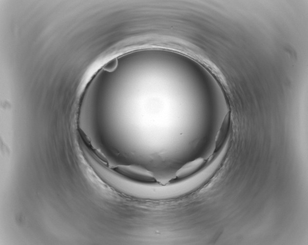 X0000091191530200708091240