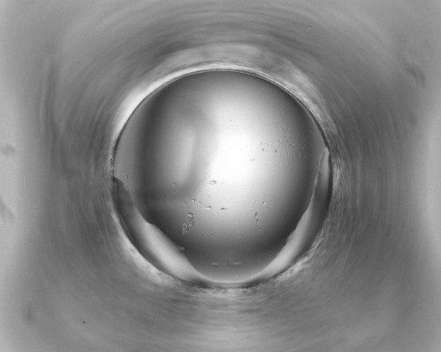 X0000091191532200708091240