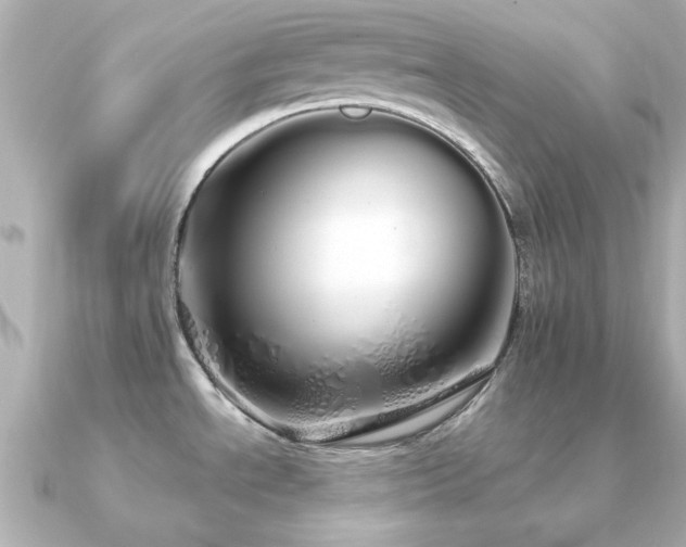 X0000091191534200708091240