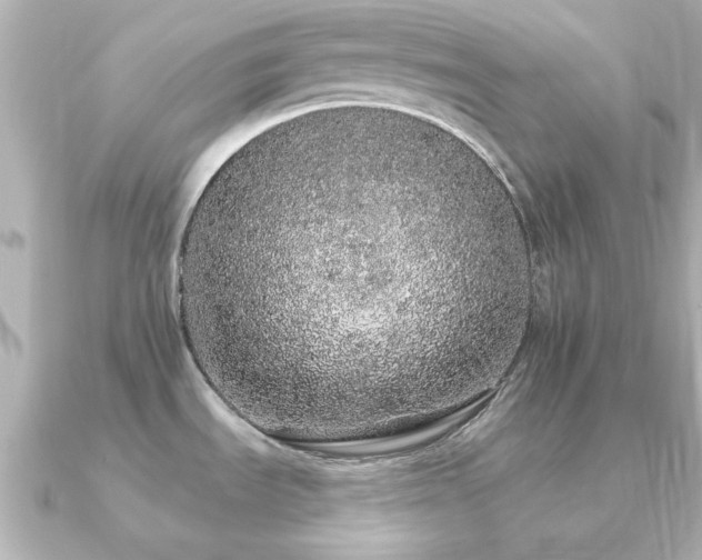 X0000091191535200708091240