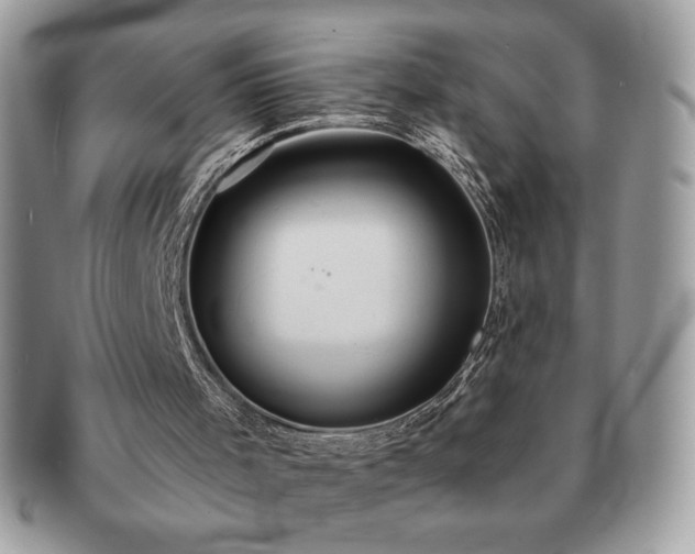 X0000091190001200708161602