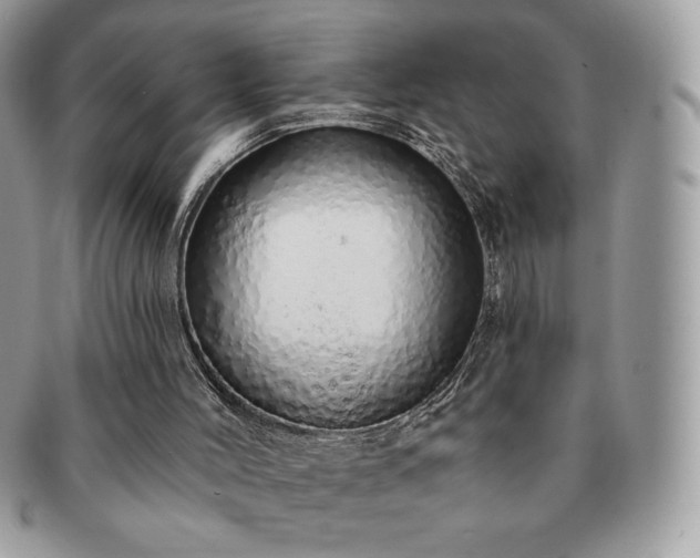 X0000091190004200708161602
