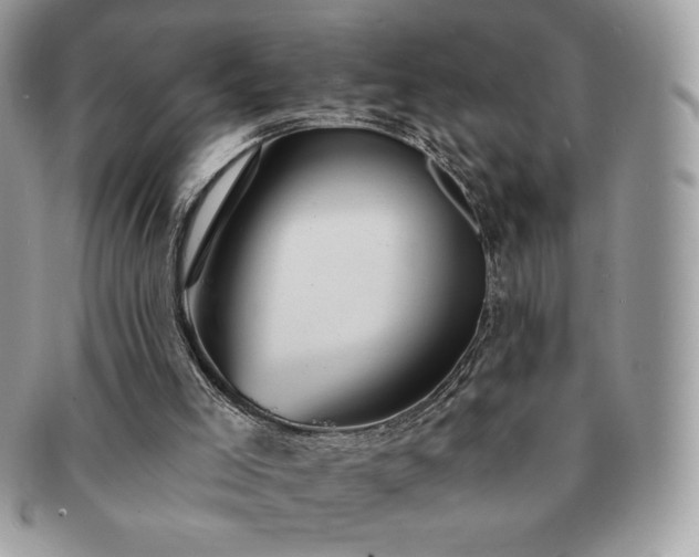 X0000091190005200708161602