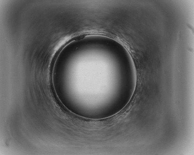 X0000091190008200708161602
