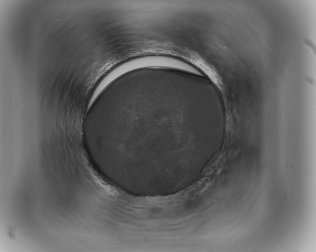 X0000091190009200708161602