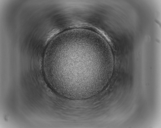 X0000091190010200708161602