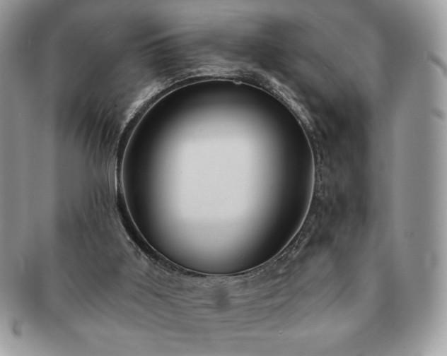 X0000091190011200708161602