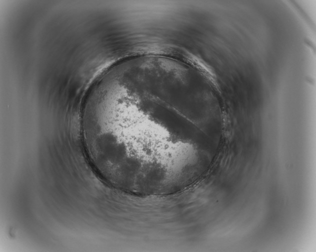 X0000091190012200708161602