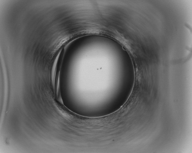 X0000091190013200708161602