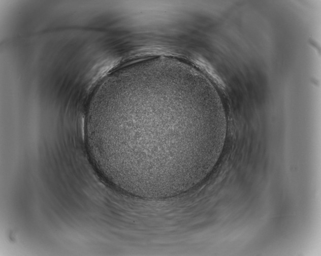 X0000091190014200708161602
