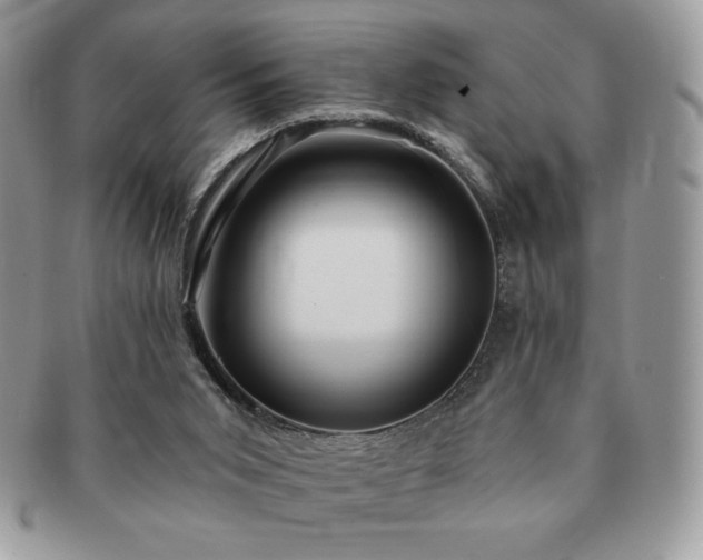 X0000091190015200708161602