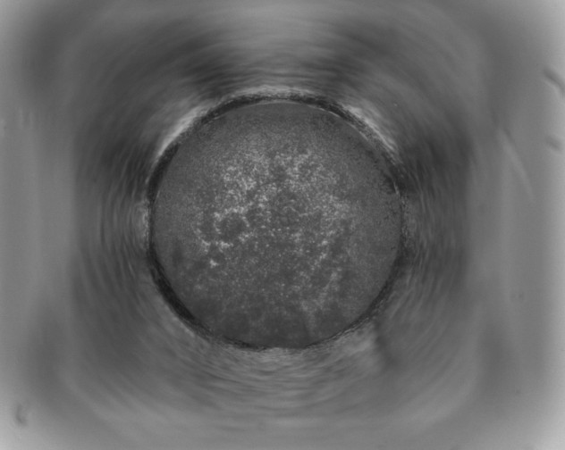 X0000091190016200708161602