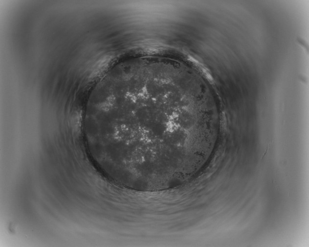 X0000091190018200708161602