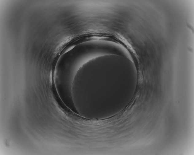 X0000091190019200708161602