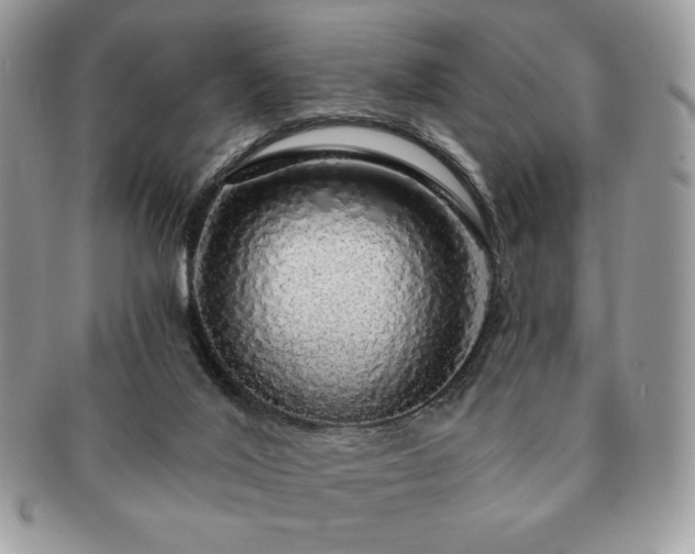 X0000091190020200708161602