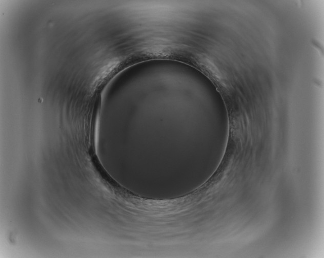 X0000091190023200708161602