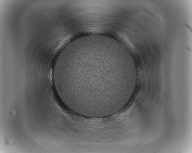 X0000091190024200708161602