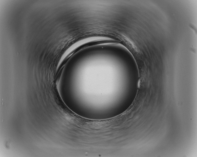 X0000091190025200708161602