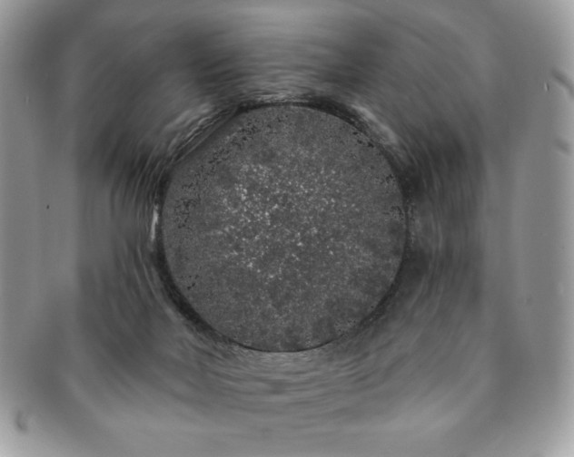 X0000091190026200708161602
