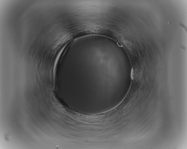 X0000091190027200708161602