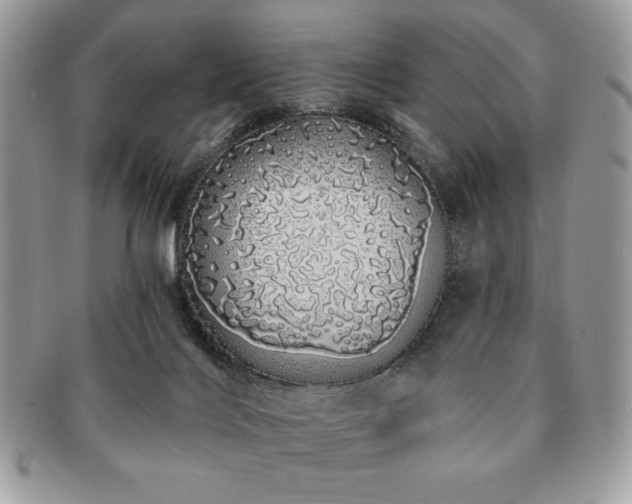 X0000091190028200708161602