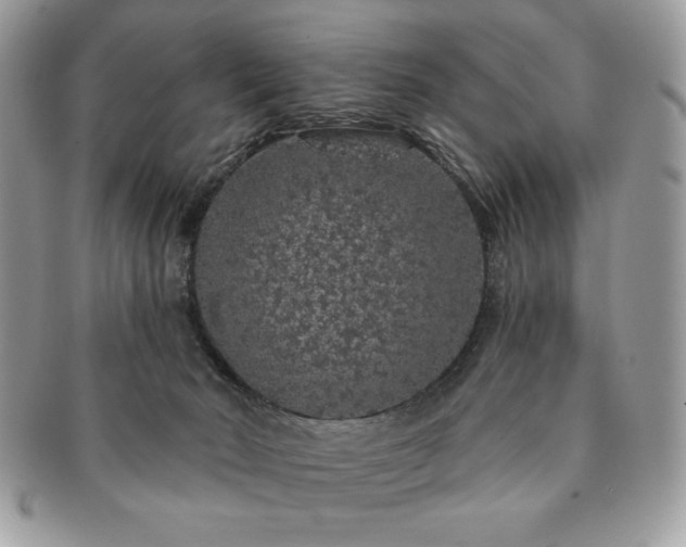 X0000091190030200708161601