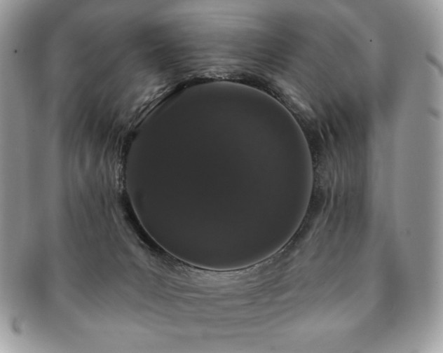 X0000091190031200708161601