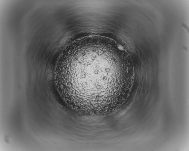 X0000091190032200708161601
