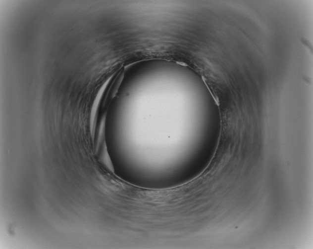 X0000091190033200708161601