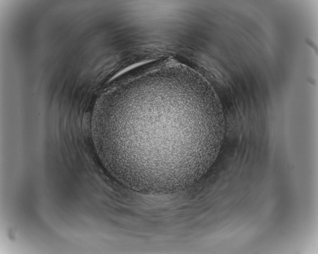 X0000091190034200708161601