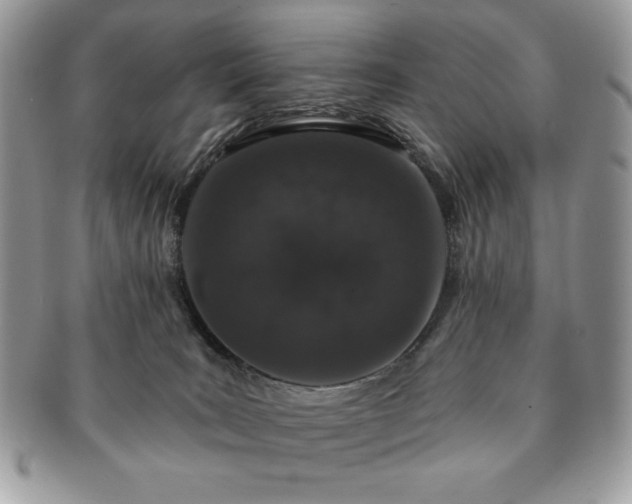 X0000091190035200708161601