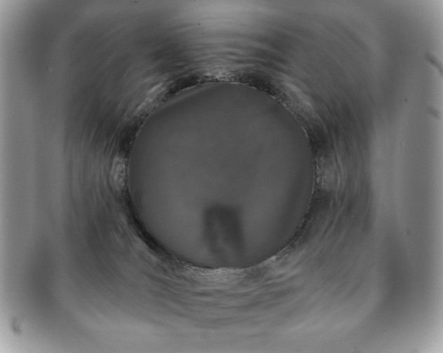 X0000091190036200708161601