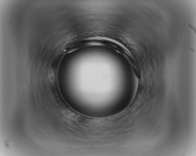 X0000091190037200708161601