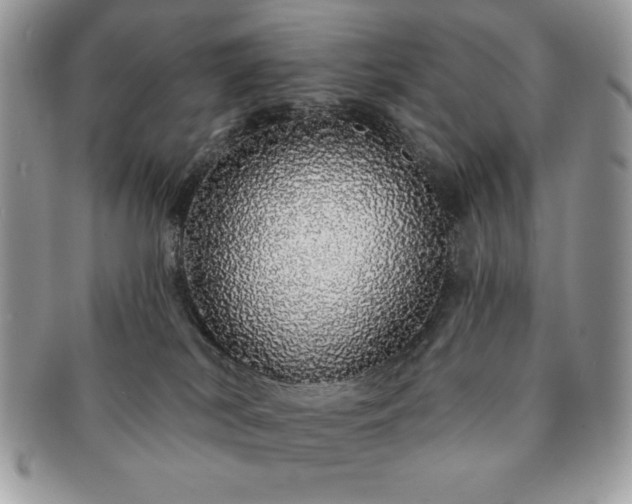 X0000091190038200708161601