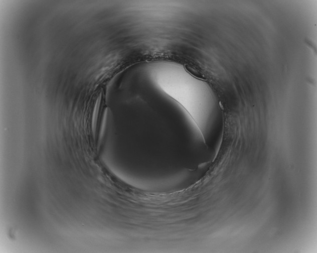 X0000091190039200708161601