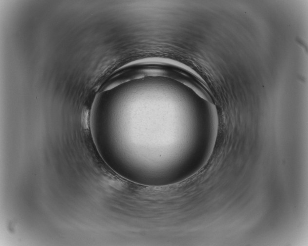 X0000091190041200708161601
