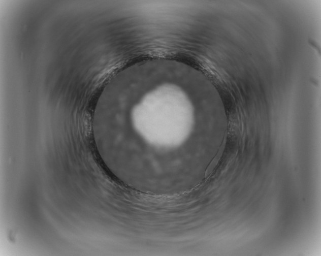 X0000091190043200708161601