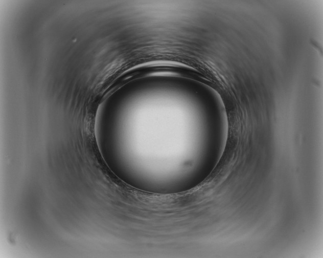X0000091190044200708161601