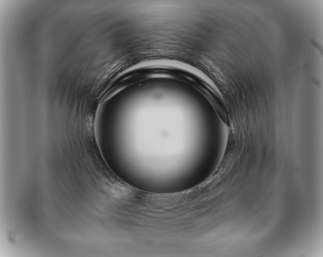 X0000091190045200708161601