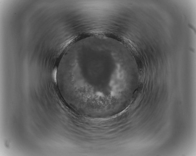 X0000091190047200708161601