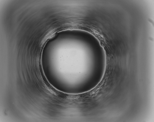 X0000091190051200708161600