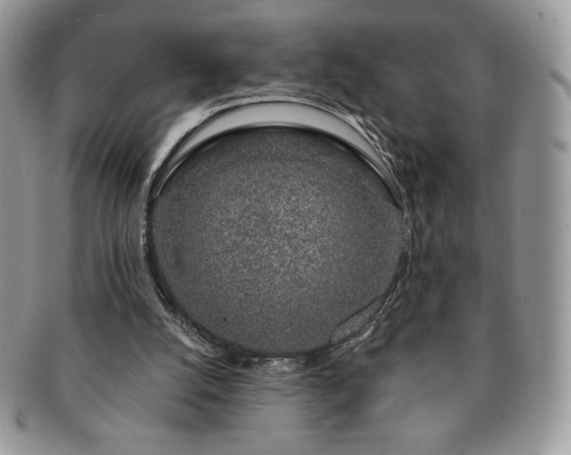 X0000091190056200708161601