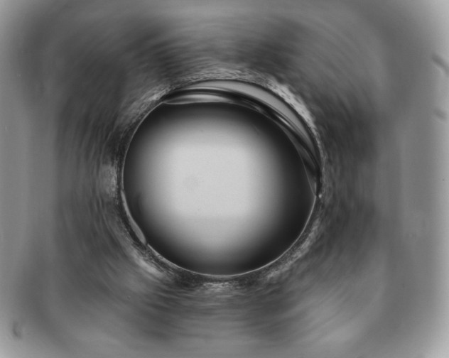 X0000091190057200708161601