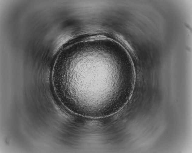 X0000091190058200708161601