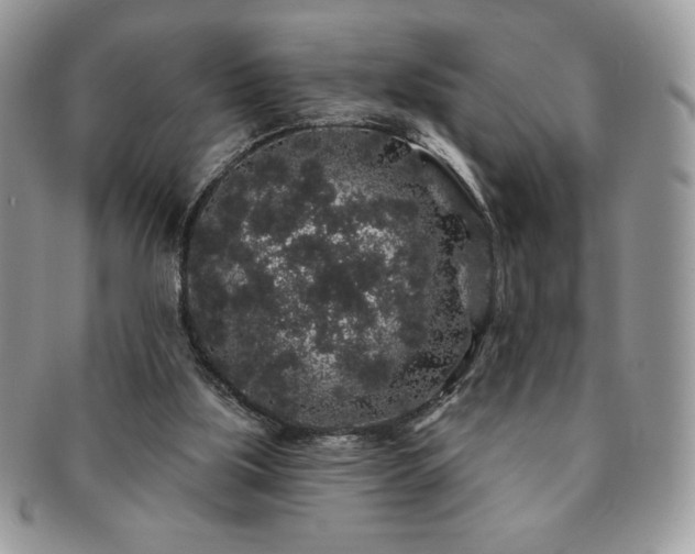 X0000091190059200708161601