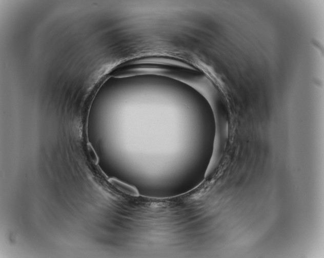 X0000091190060200708161601